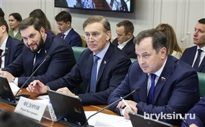 А.Брыксин: Совет Федерации одобрил закон о теплоснабжении